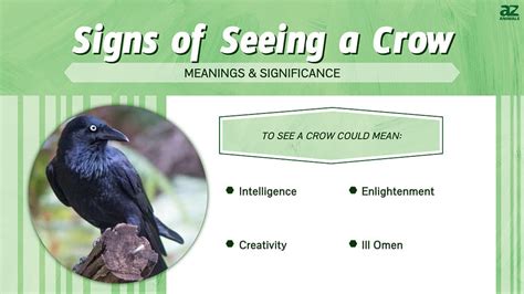 Warning Signs or Omens in Crow Flying Dreams