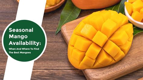 Where to Find Fresh and Delicious Mangoes: From Local Farmers to Online Stores