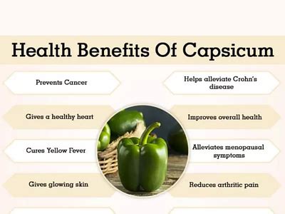 Why Capsicum Should Be a Regular Addition to Your Daily Diet