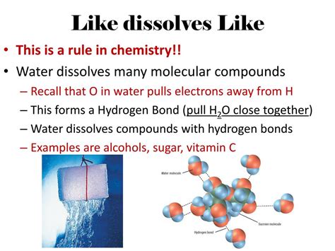 Why Did the Bond Dissolve? Exploring the Factors That Led to the Deterioration of the Connection