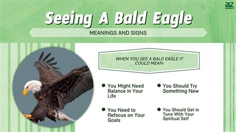 Why Eagles Signify Greatness and Accomplishment