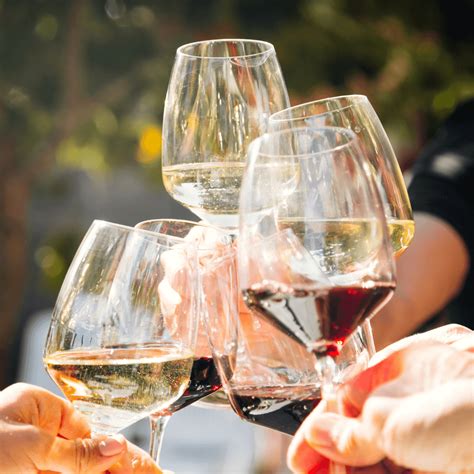 Wine Etiquette: Savoring the Elixir with Grace