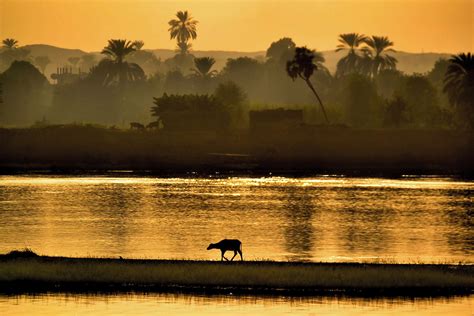 Witnessing the Eternal Elegance of Sunset along the Nile River