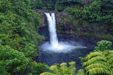 Witnessing the Purity of Nature's Untouched Beauty