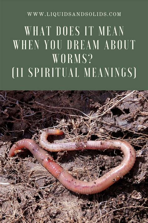 Worms as a Gateway: Analyzing the Spiritual Symbolism